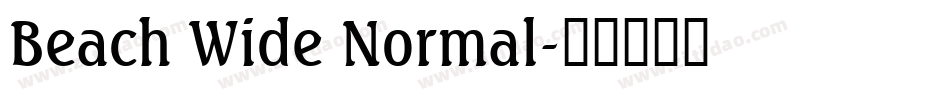 Beach Wide Normal字体转换